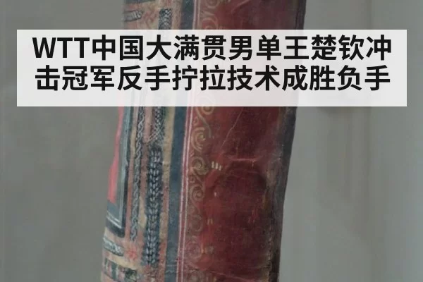 WTT中国大满贯男单王楚钦冲击冠军反手拧拉技术成胜负手